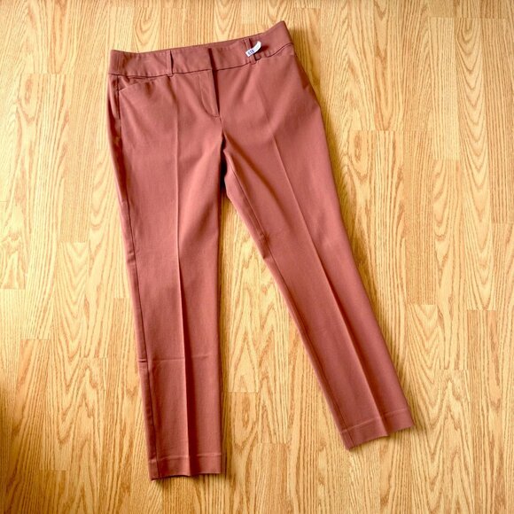 Loft Outlet Pants Size 10 Brick Red Skinny Ankle Stretch Cotton Blend Neutral - Picture 4 of 9